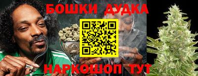 a pvp Сланцы